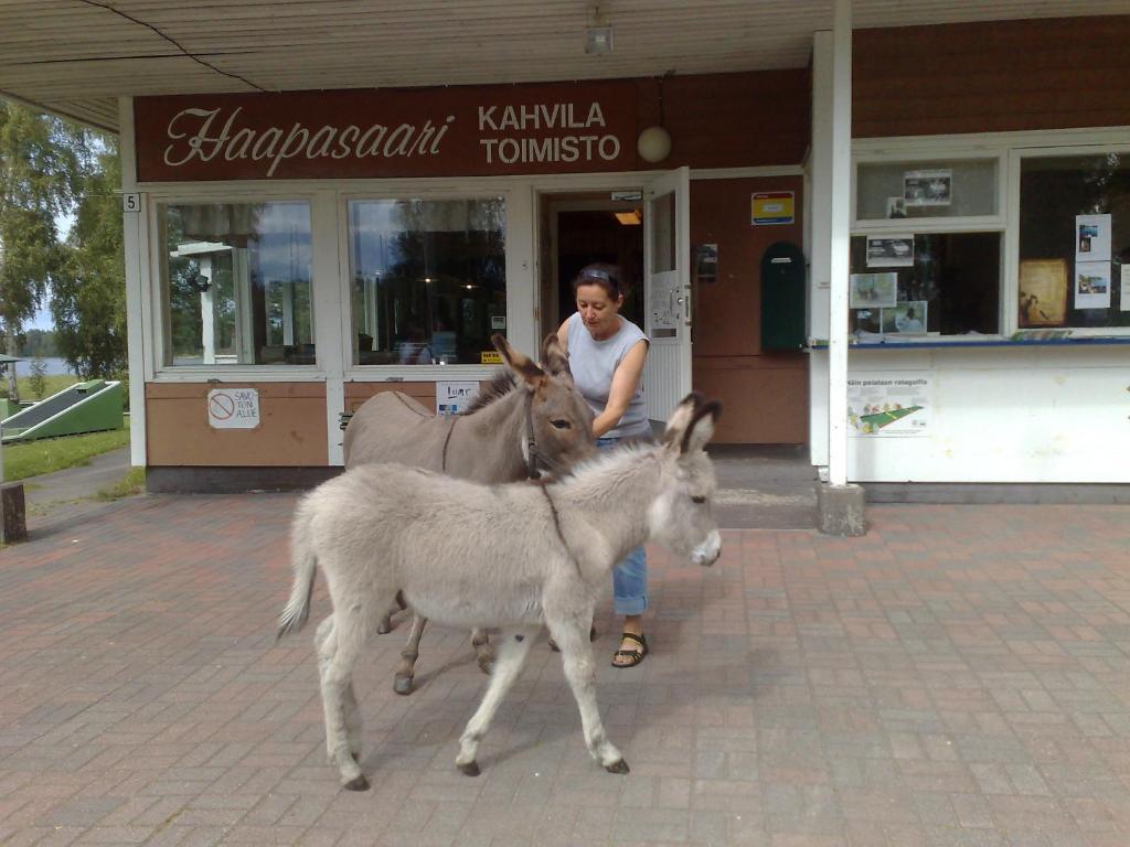 Haapasaaren Lomakyla Hotel Ruovesi Екстериор снимка